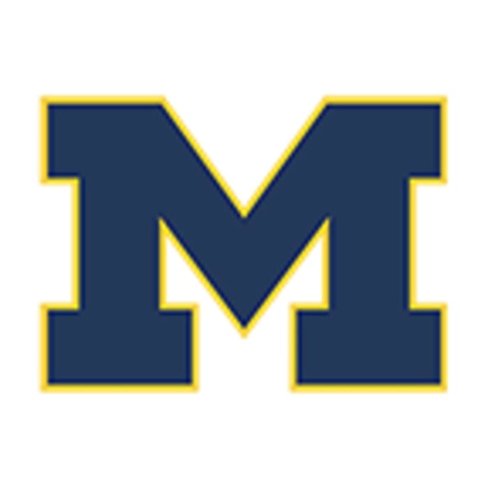 Michigan Logo